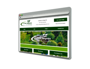 Website Only - Standard Website For Any Business